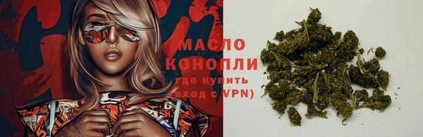 spice Аркадак