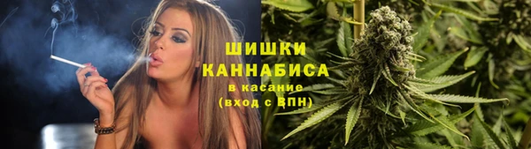 spice Аркадак