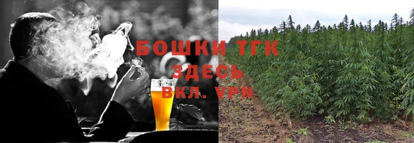 спайс Арсеньев
