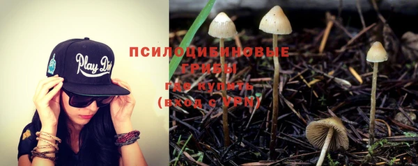 винт Армянск