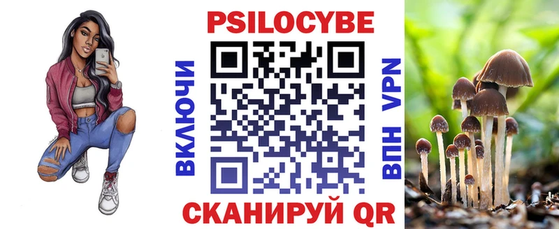 где купить наркотик  Мураши  MEGA как войти  Псилоцибиновые грибы MAGIC MUSHROOMS 